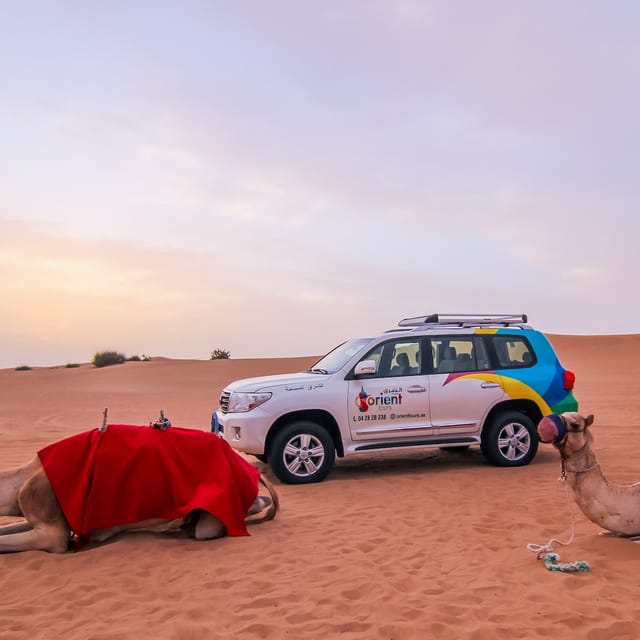 afternoon-desert-safari-sandboarding-camel-ride-live-shows-with-bbq-dinner_1